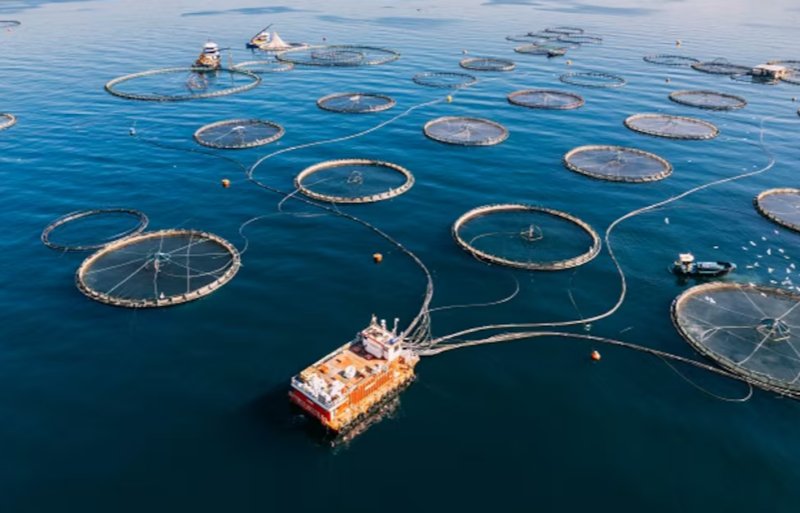Aquaculture