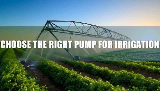 agriculture and irrigation