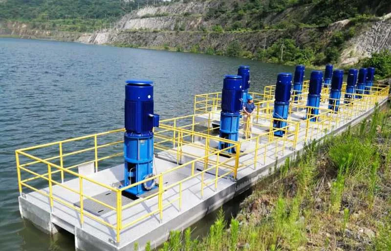 Raw Water Intake