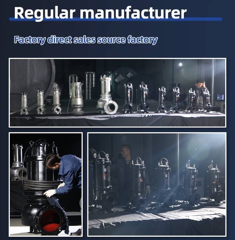 WQ Submersible Sewage Pump