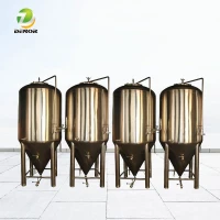 Beer Fermentation Tank